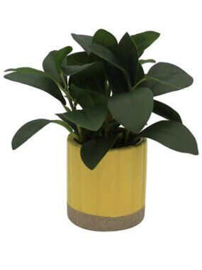 Mainstays by Becky G. & Alejandra Artificial Potted Plant